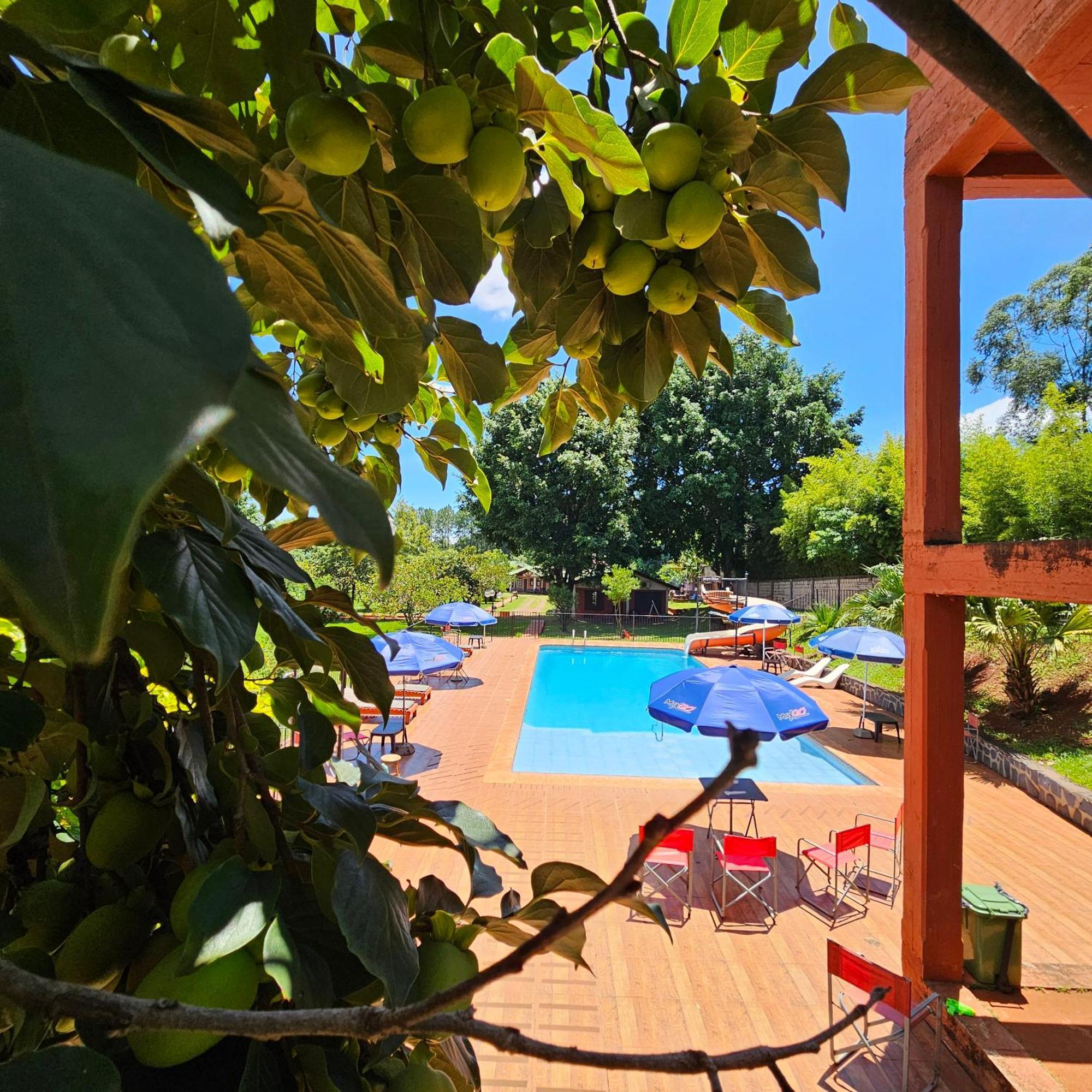 Cabanas El Refugio Del Mensu 푸에르토이과수 외부 사진