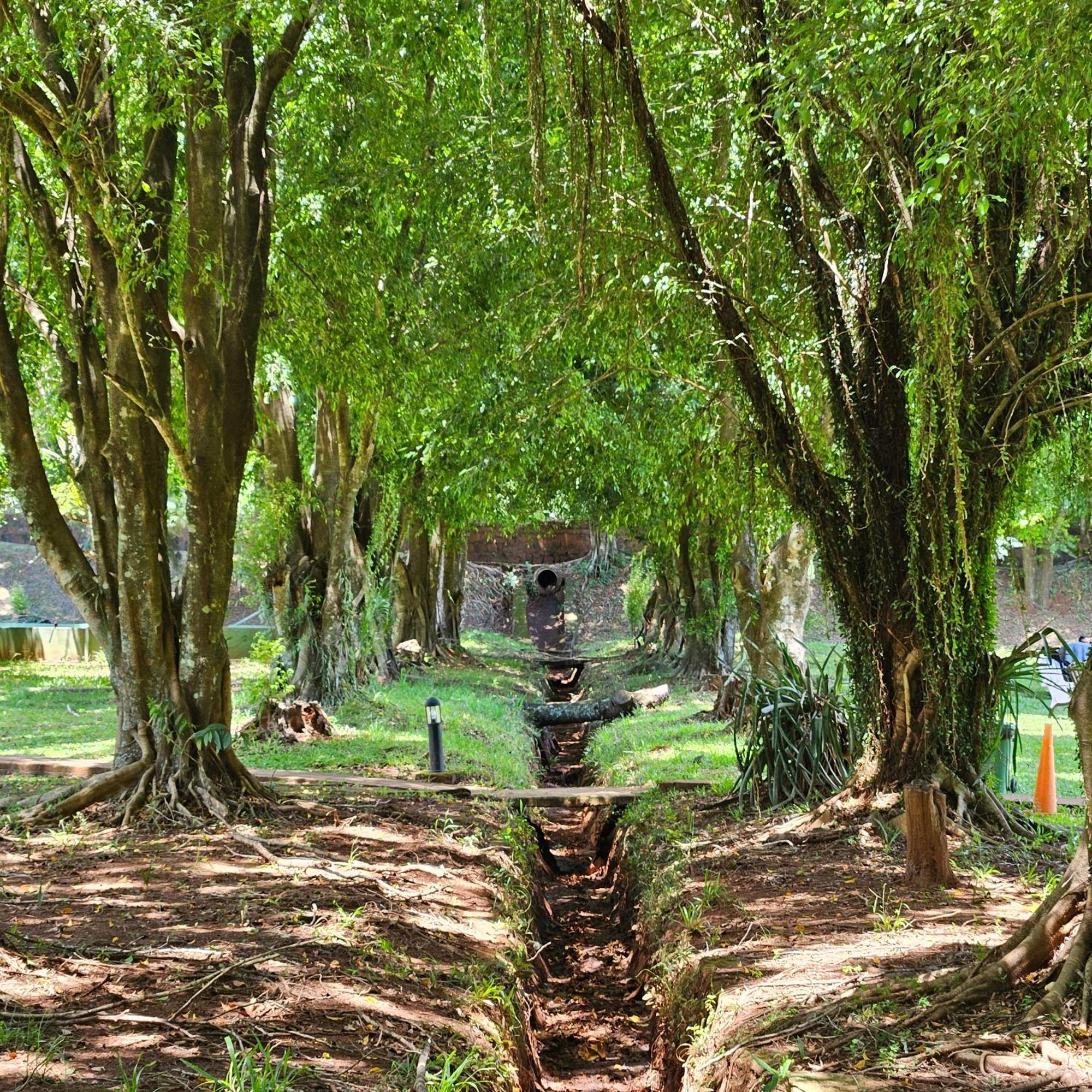 Cabanas El Refugio Del Mensu 푸에르토이과수 외부 사진